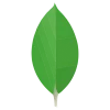 MongoDB